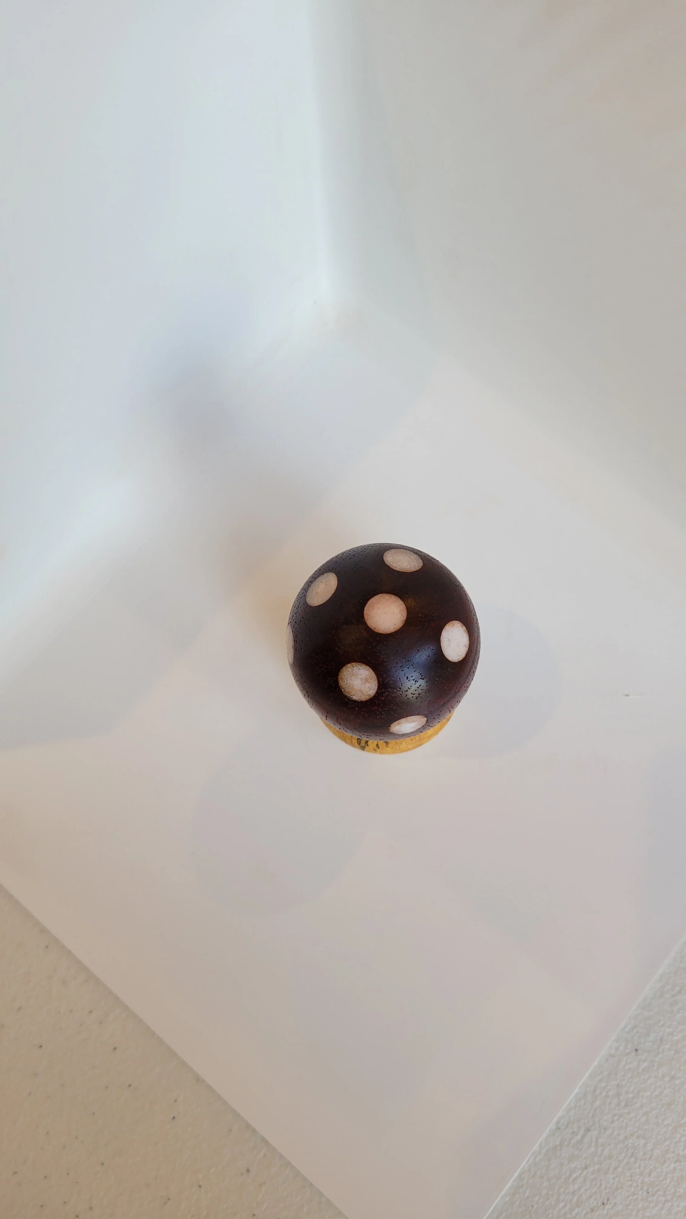 20260608_114838.jpg