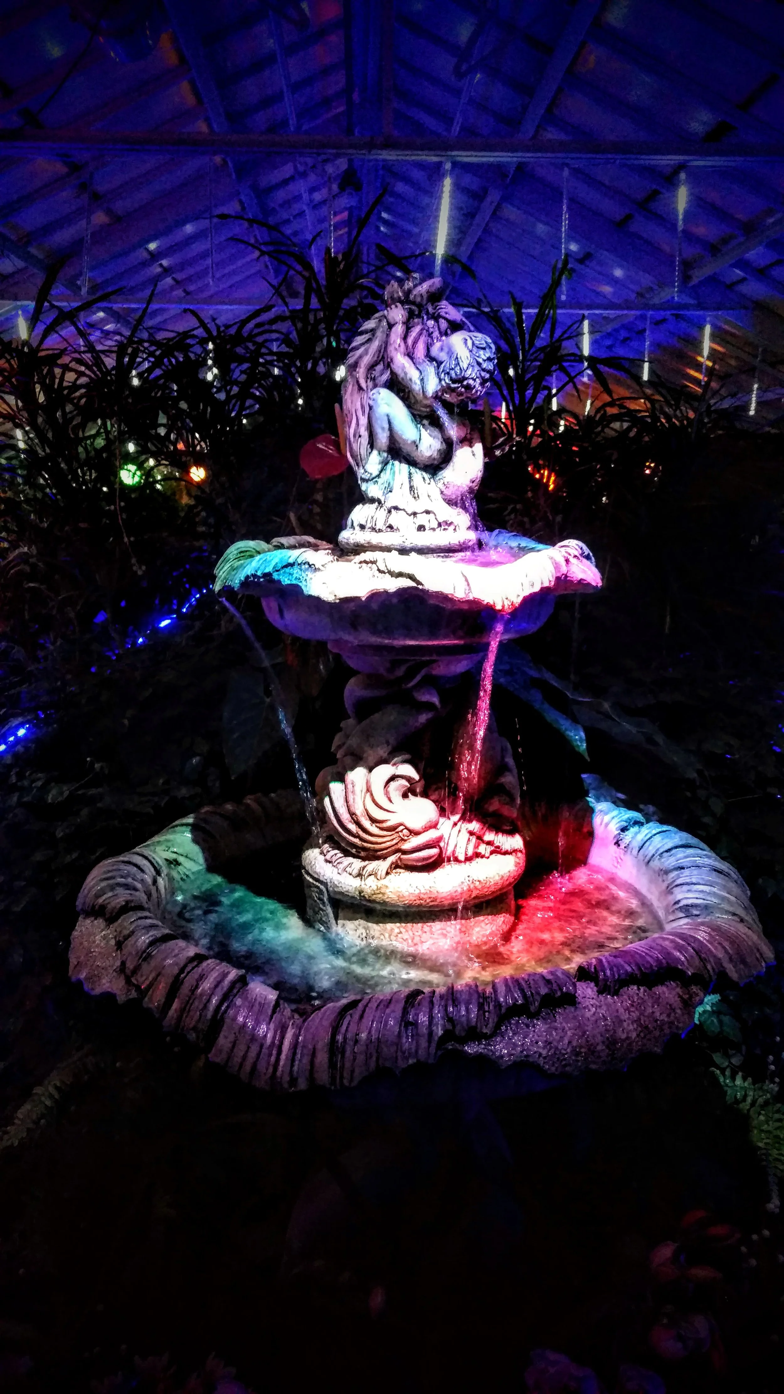 Buffalo Botanical Garden Fountain