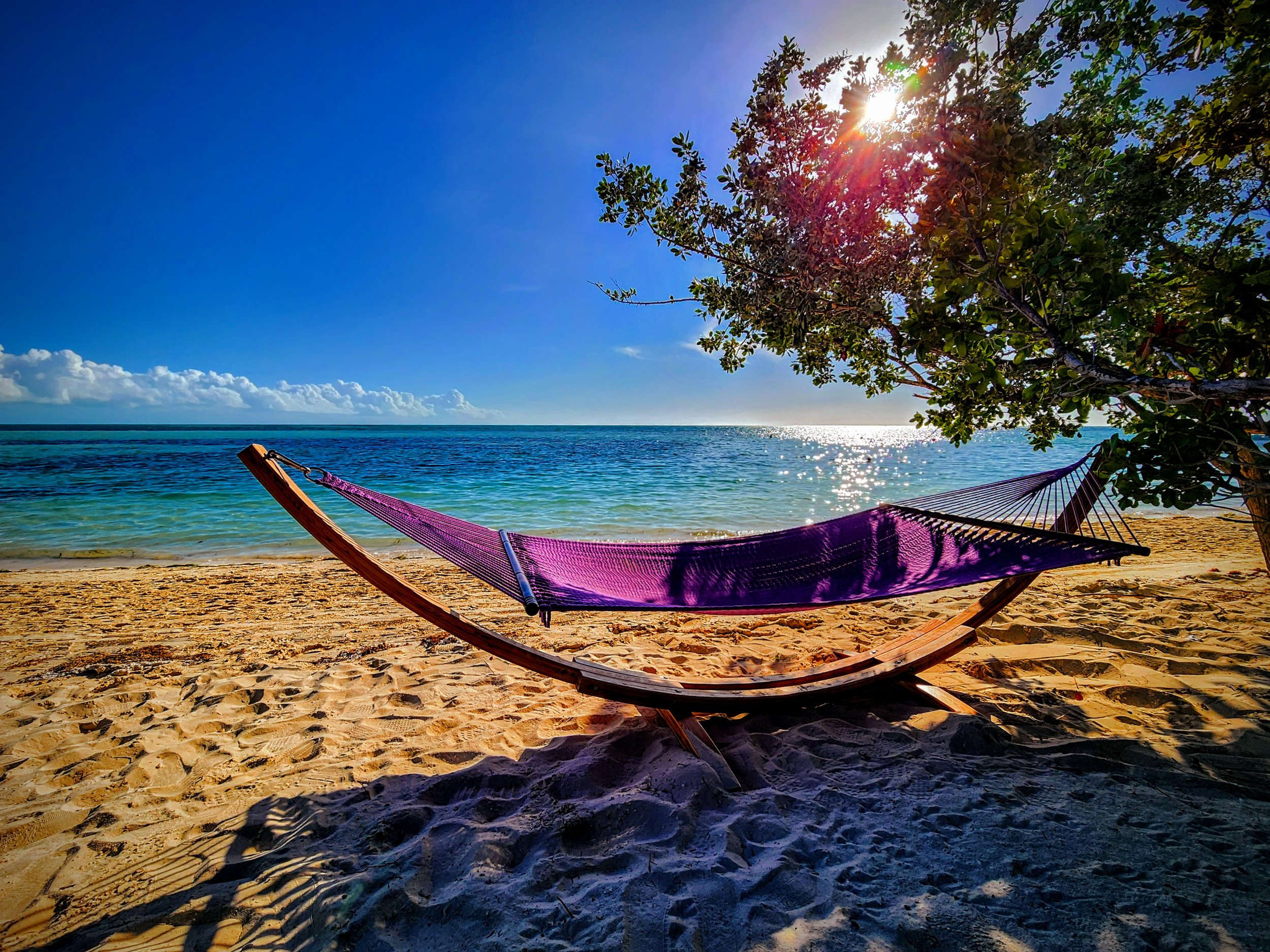 A Serene Hammock Scene
