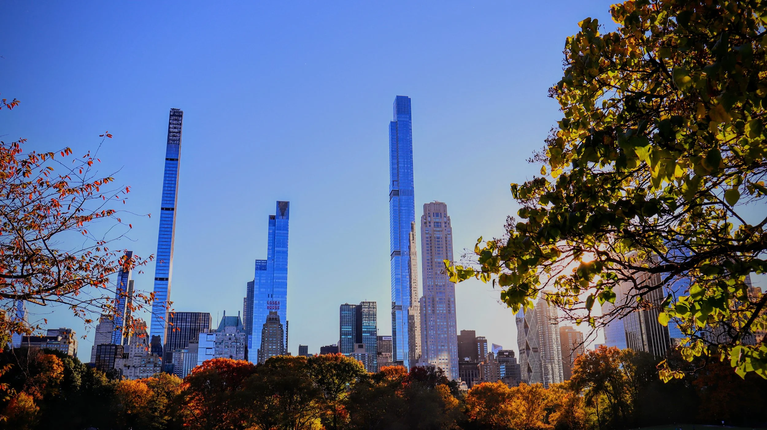 Central Park Bright Fall Day