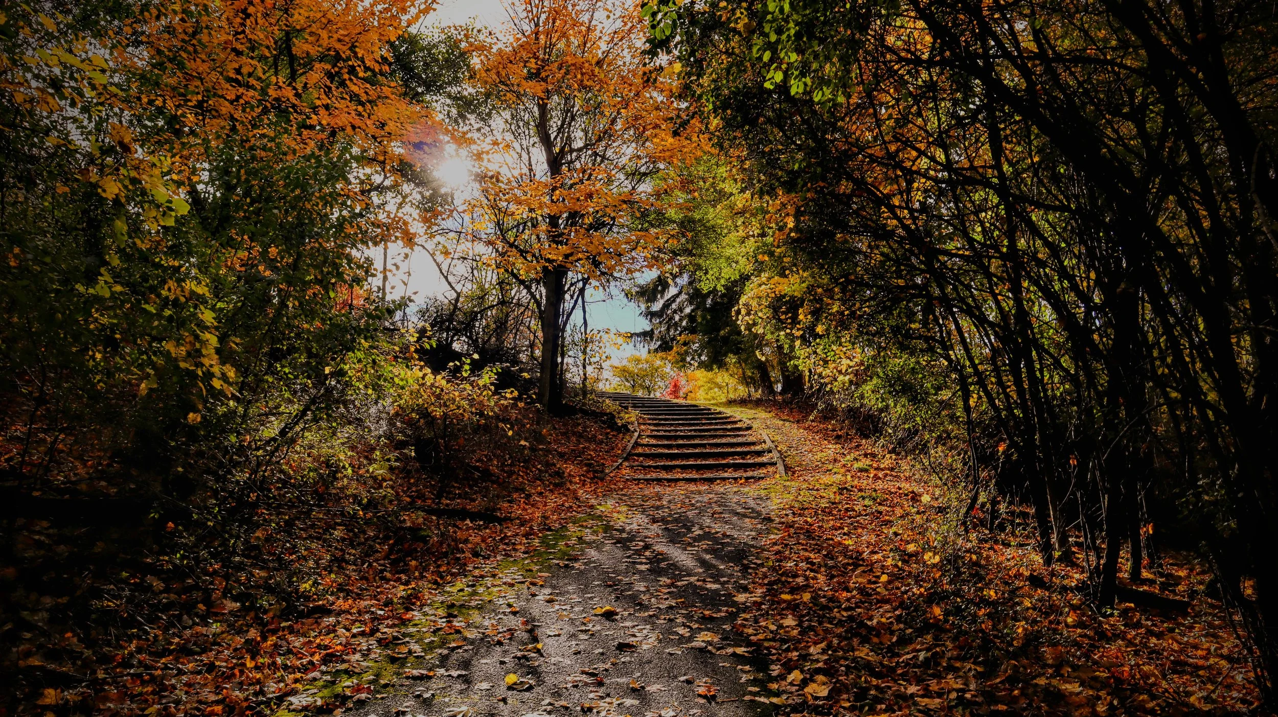 Thompson Park Fall Staircase