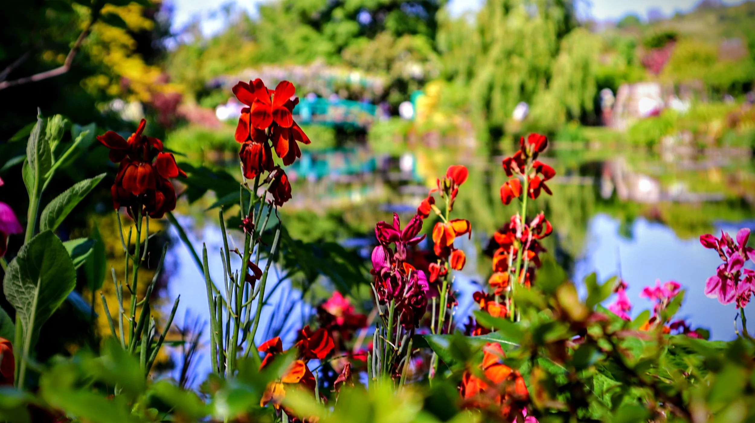 IMG_6133~2.JPG