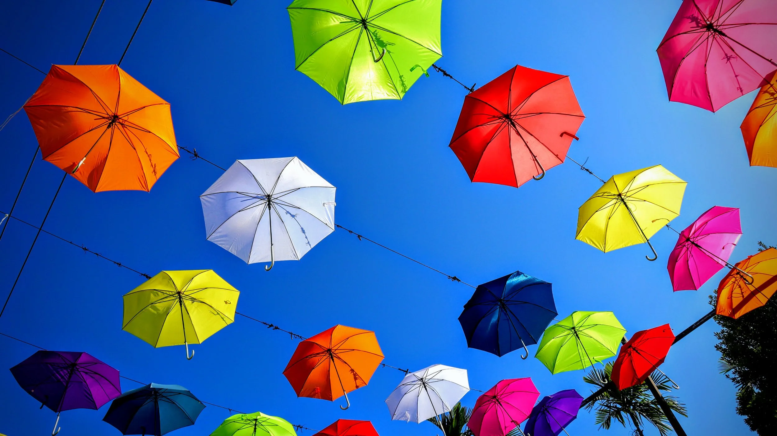 Umbrellas Over the Streets of Nassau