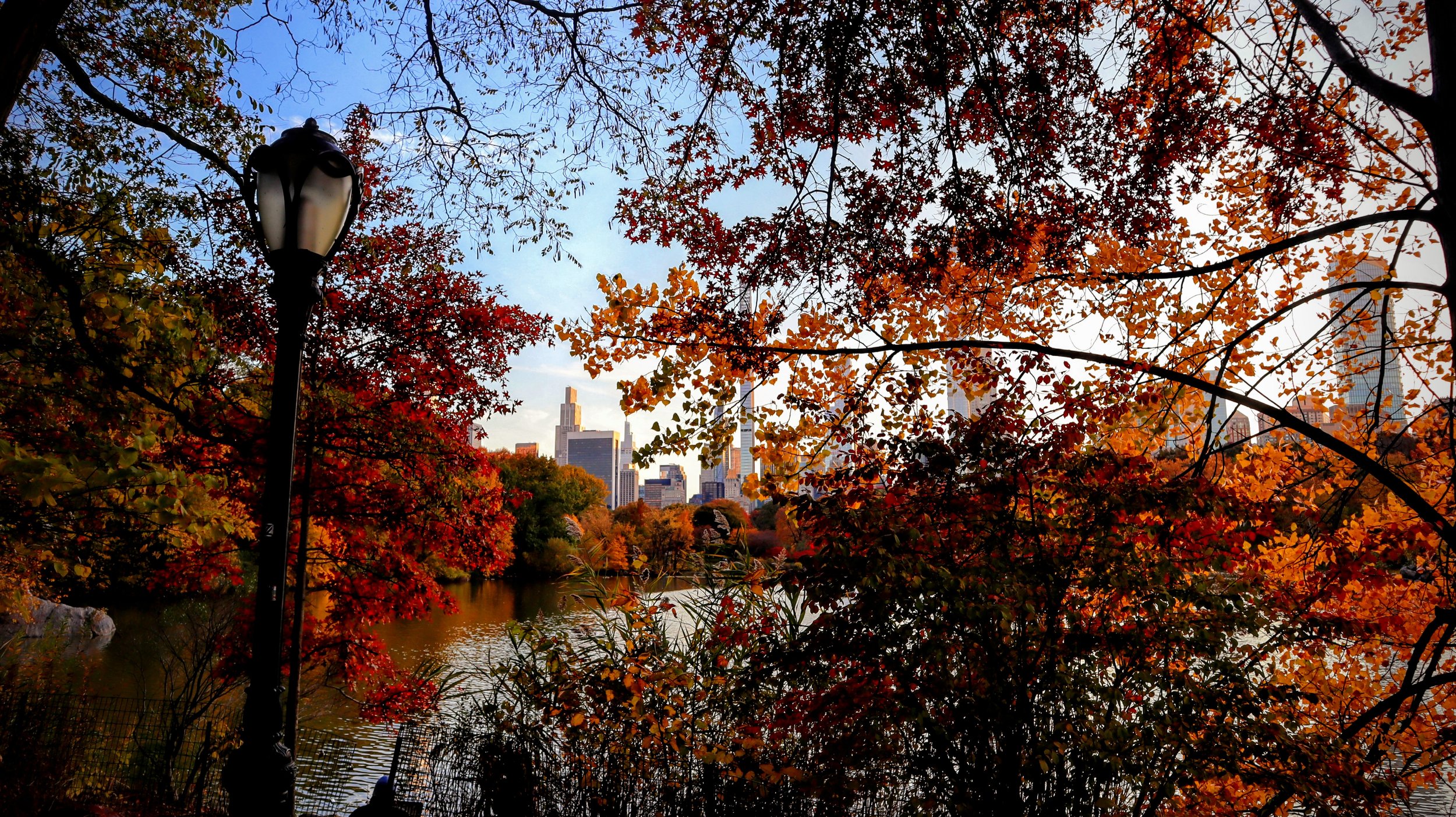Central Park Fall Foliage