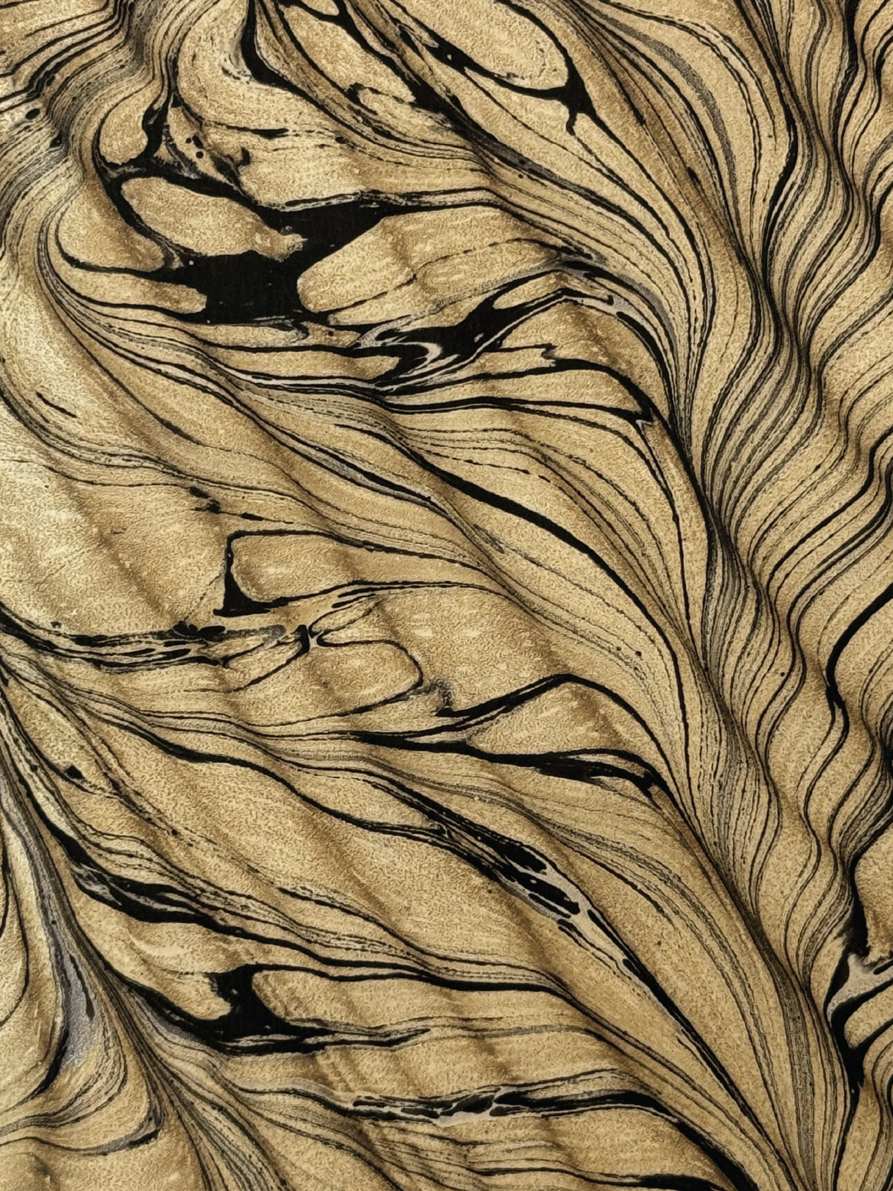 Marbled Paper 1.png