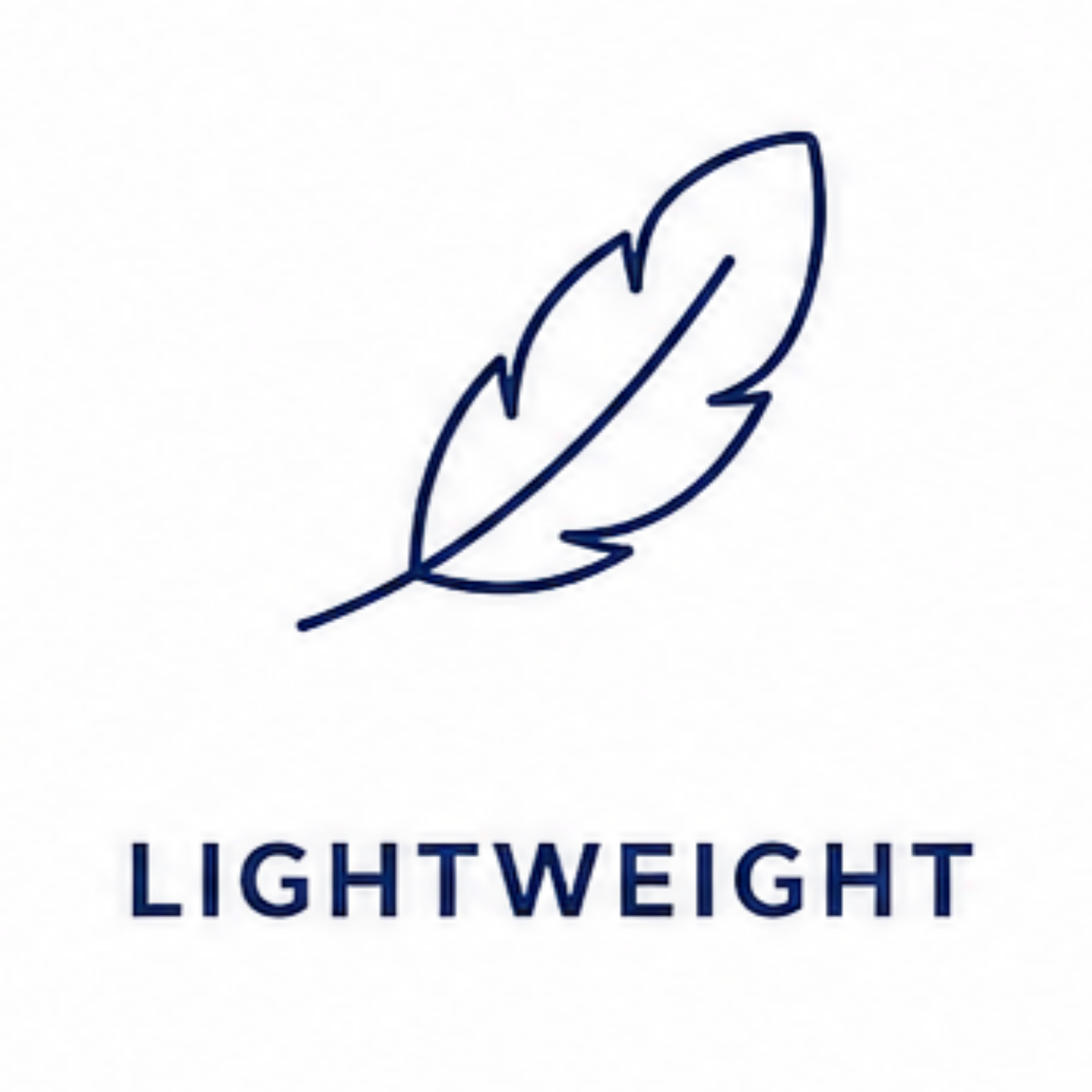 Logo of Lightspeed Lightweight, featuring a stylized light ray symbol above the word "LIGHTWEIGHT" in blue capital letters.