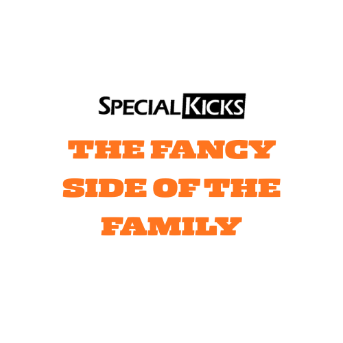 THE FANCY SIDE OF THE FAMILY