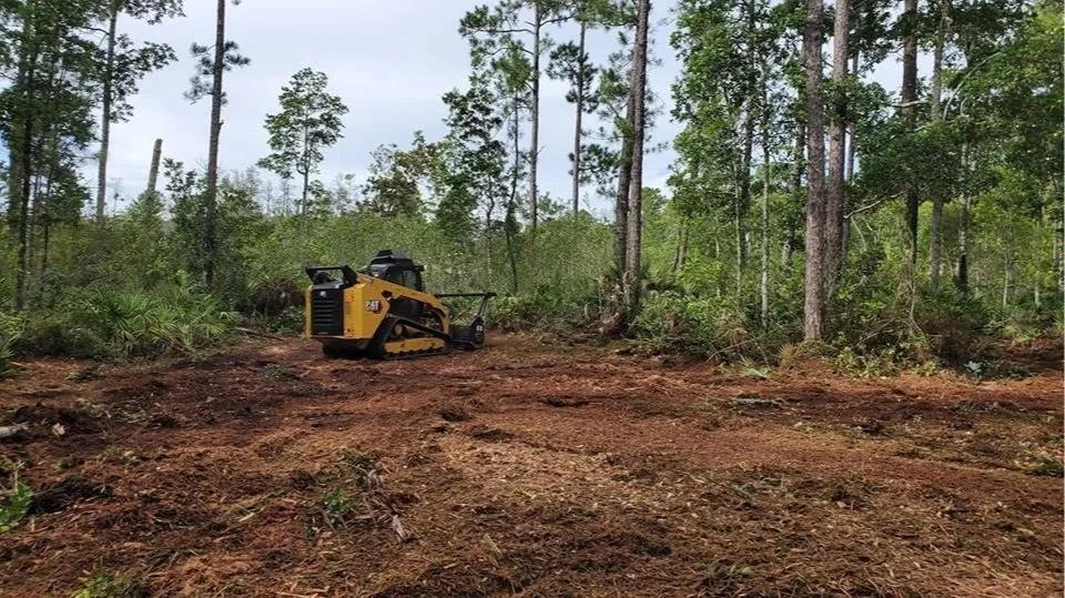 “Forestry mulching land-clearing equipment grinding brush and trees for commercial lot”