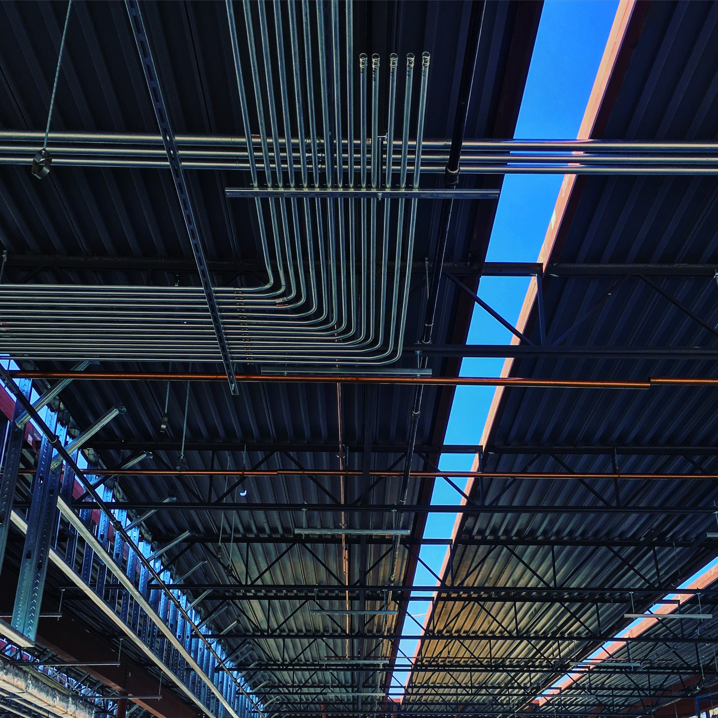 Credit: Photographer Name