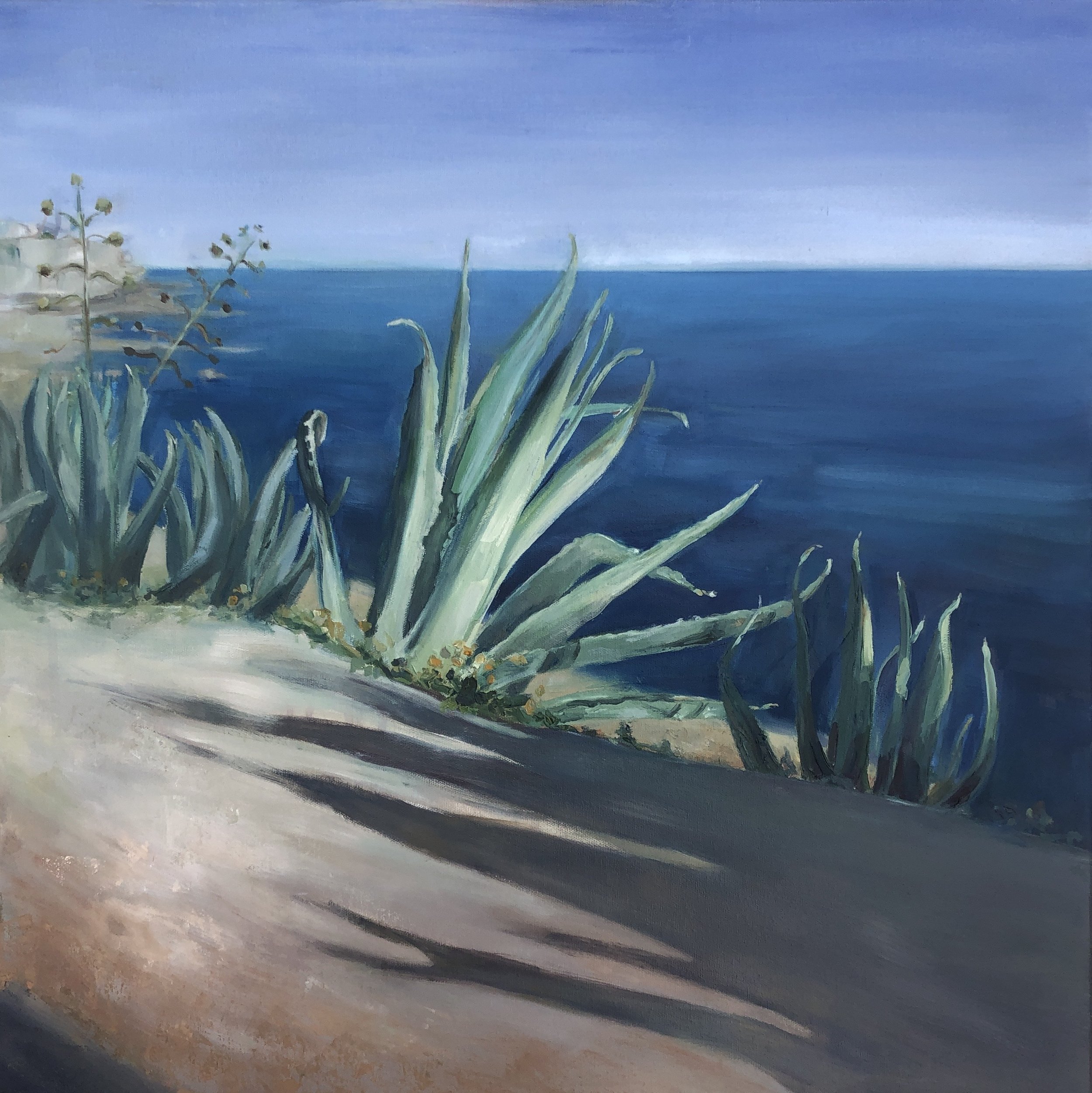 "Agave"/ 2026, Oil on canvas, 60 x 60 cm