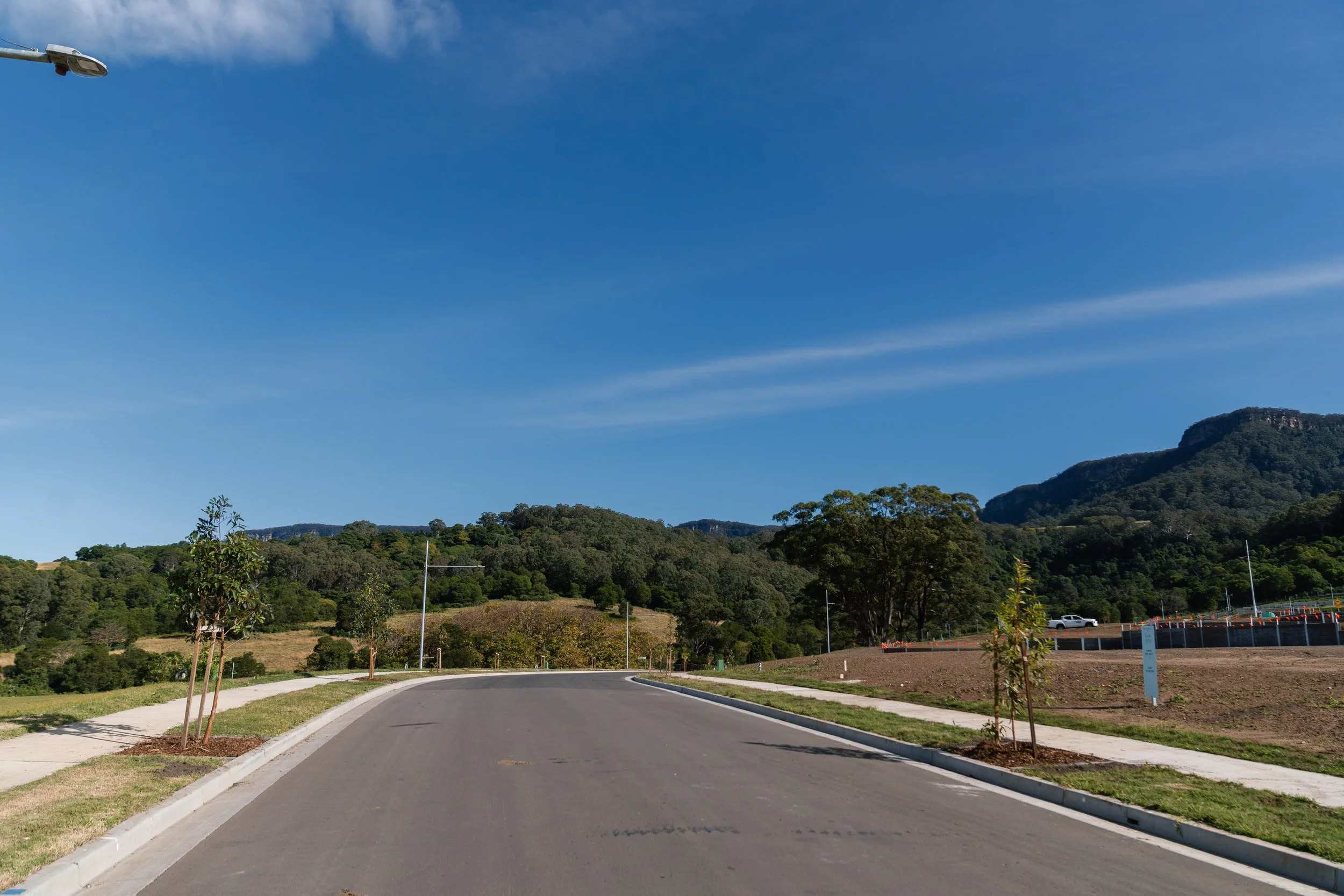 WEM_ForestReach_03052025-18.jpg
