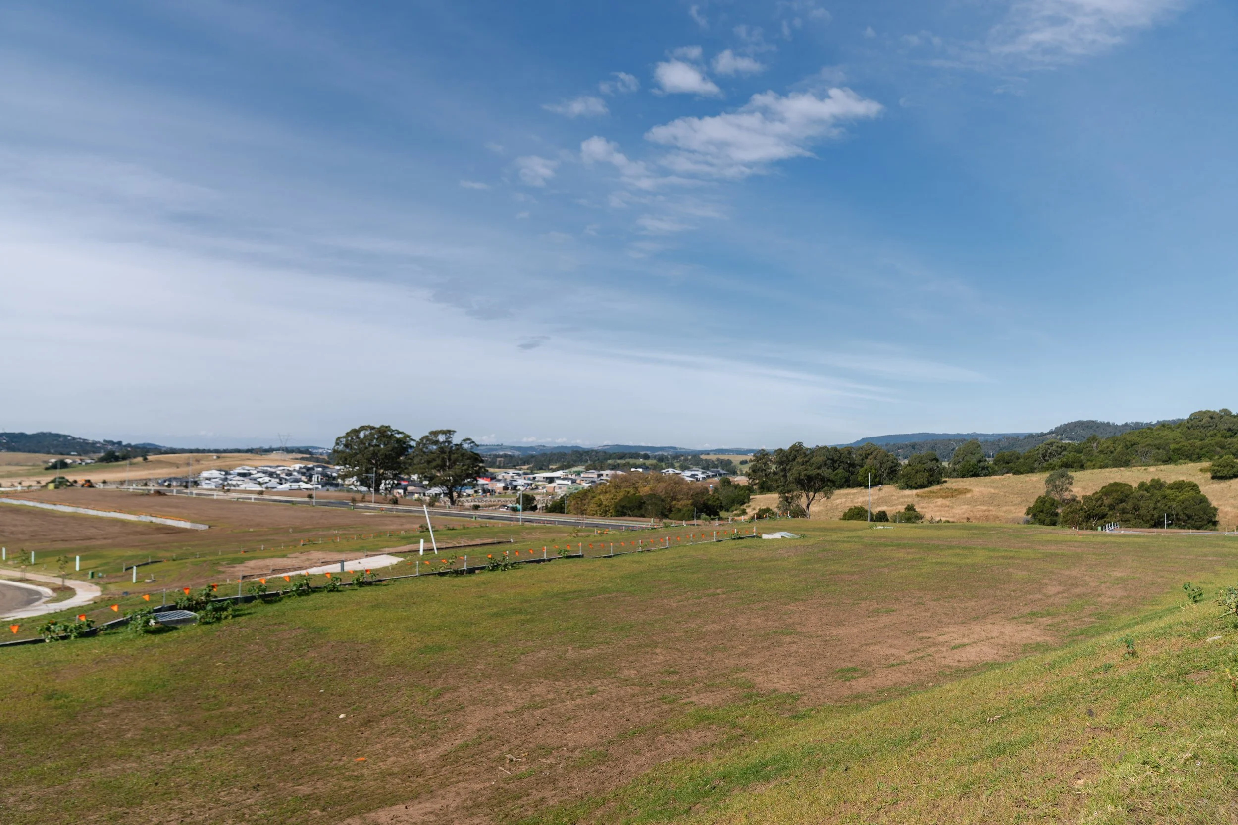 WEM_ForestReach_03052025-33.jpg