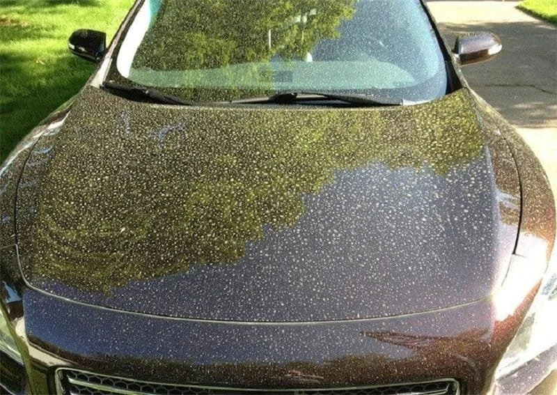 Pollen-on-a-car.jpg