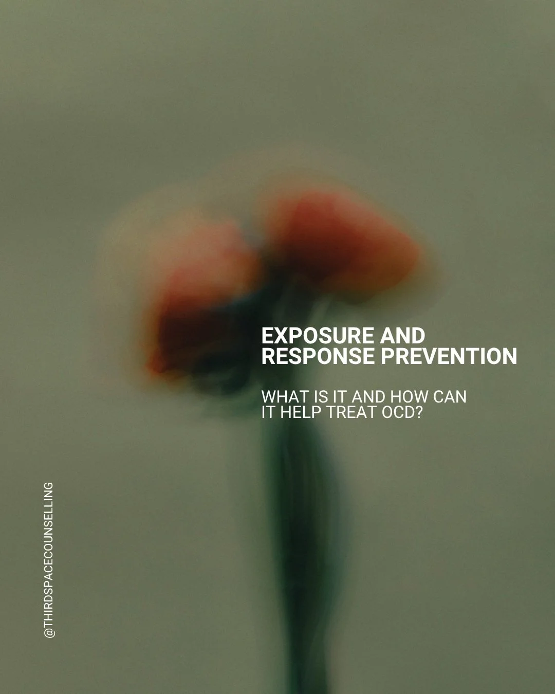 Exposure and Response Prevention (ERP) teaches you that you can tolerate uncertainty without needing compulsions to feel okay.

Nicole offers ERP for OCD. Book with her at thirdspace.janeapp.com.

#ERP #OCD #ExposureTherapy #MentalHealthAwareness #Ev
