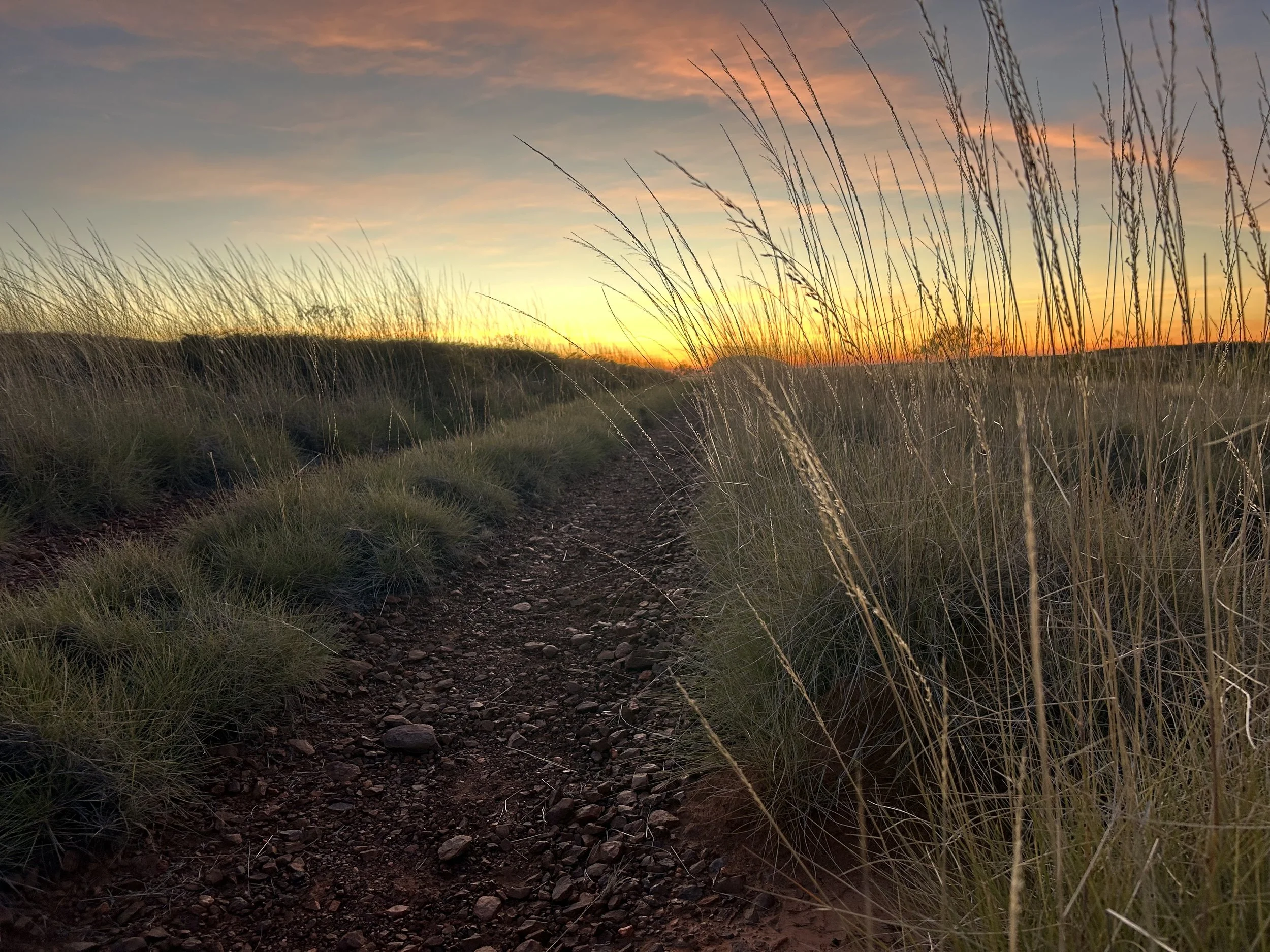 A dirt trail running through tall grass at sunset, with a sky of orange, pink, and blue hues.