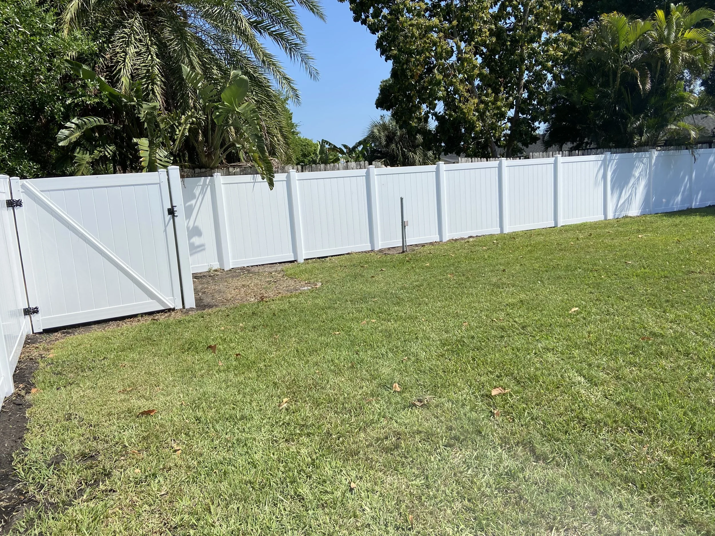 A backyard with green grass, a white vinyl fence, and a few trees in the background under a clear blue sky.