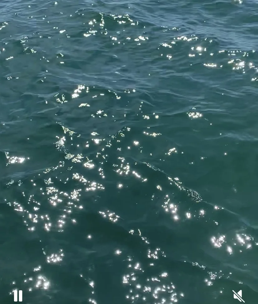 The Ocean and Us