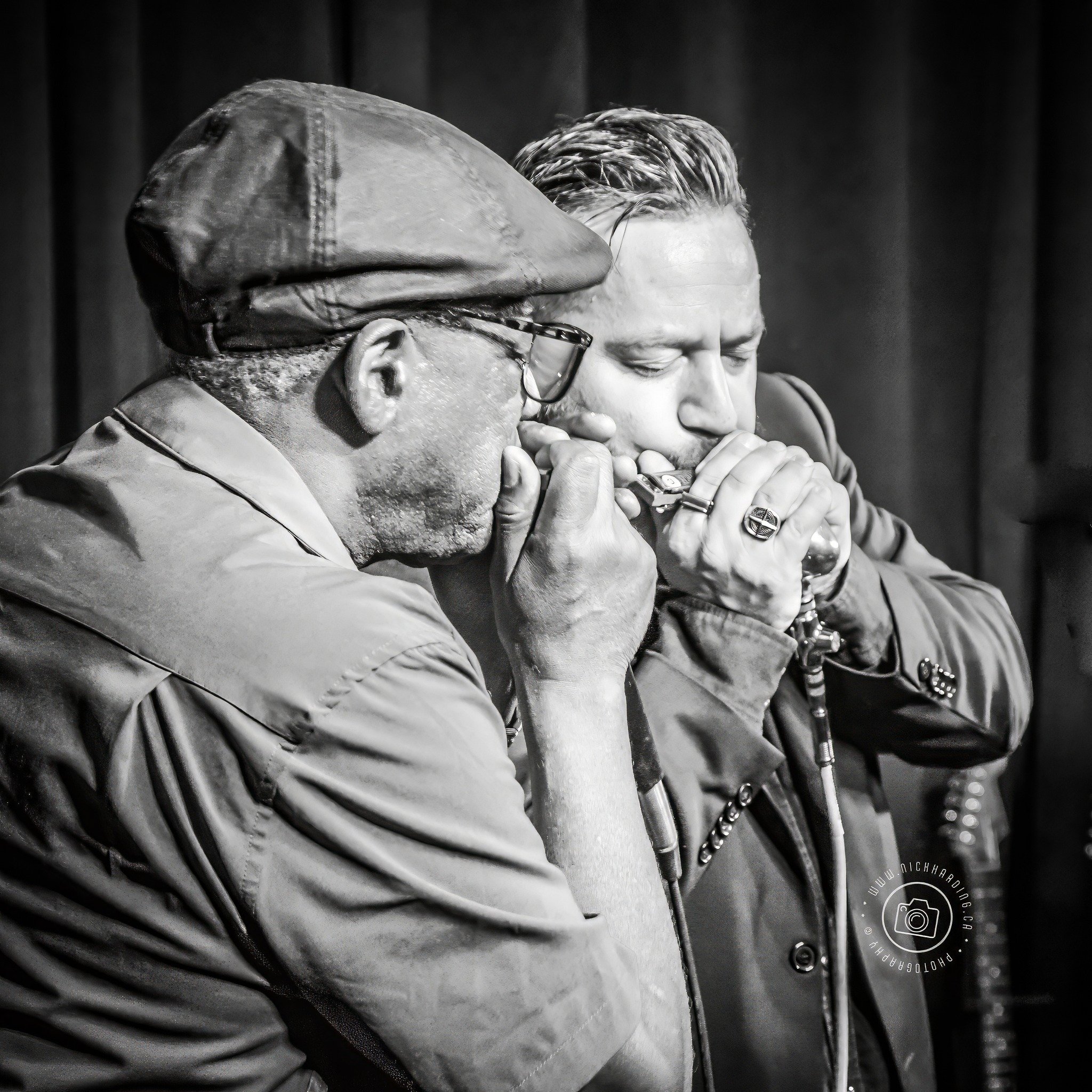 Two Steve's Blues Harp men.jpg