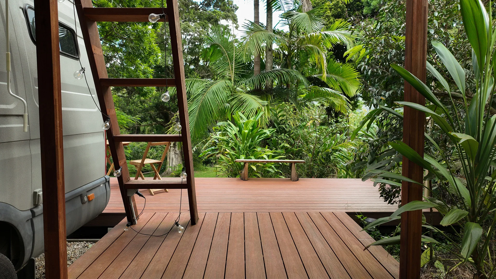 A wooden deck with a ladder and string lights, surrounded by lush green tropical plants and trees.