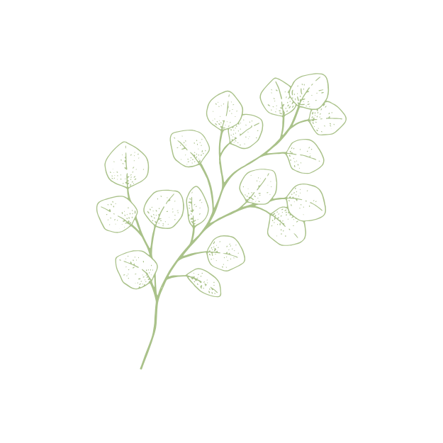 Illustration of a simple green plant with multiple oval-shaped leaves on a black background.