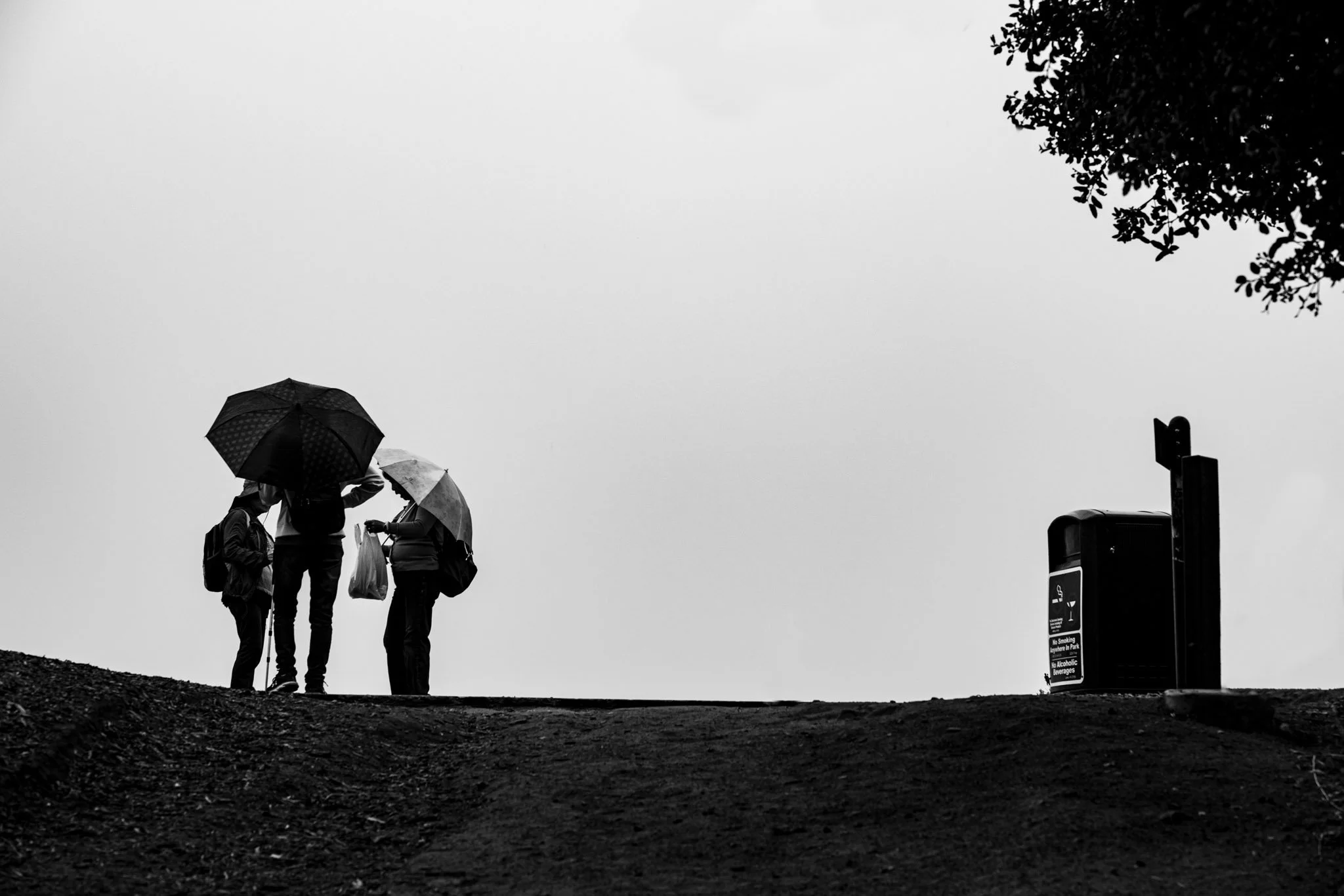      

 
   From the archives: Los Angeles 
 




















  
  



    










































  

    
  
     

      

      
         
          
        
        

        
          
            
           
         