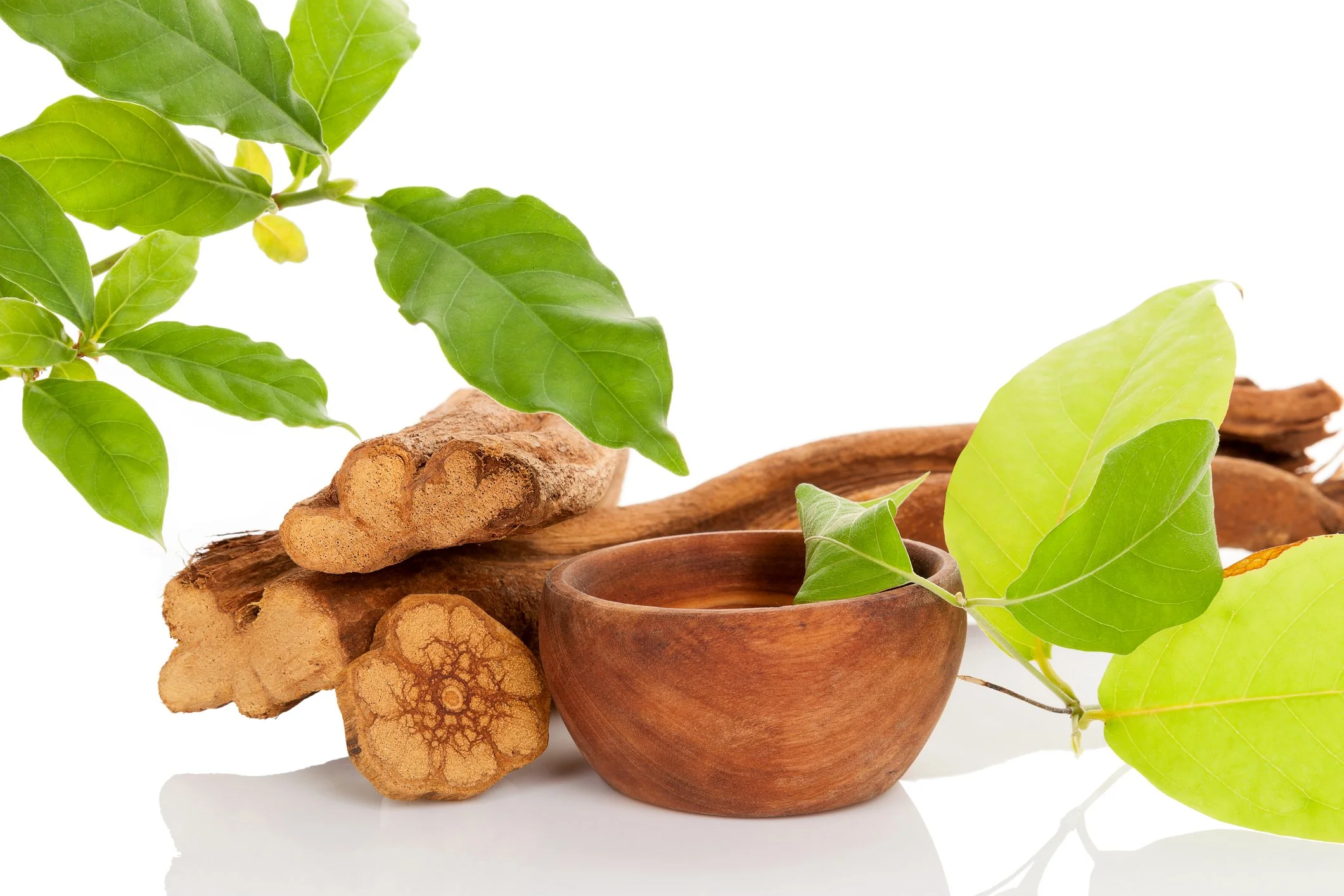 How to Prepare for Sacred Plant Medicine: What to Know Before You Sit in Ceremony