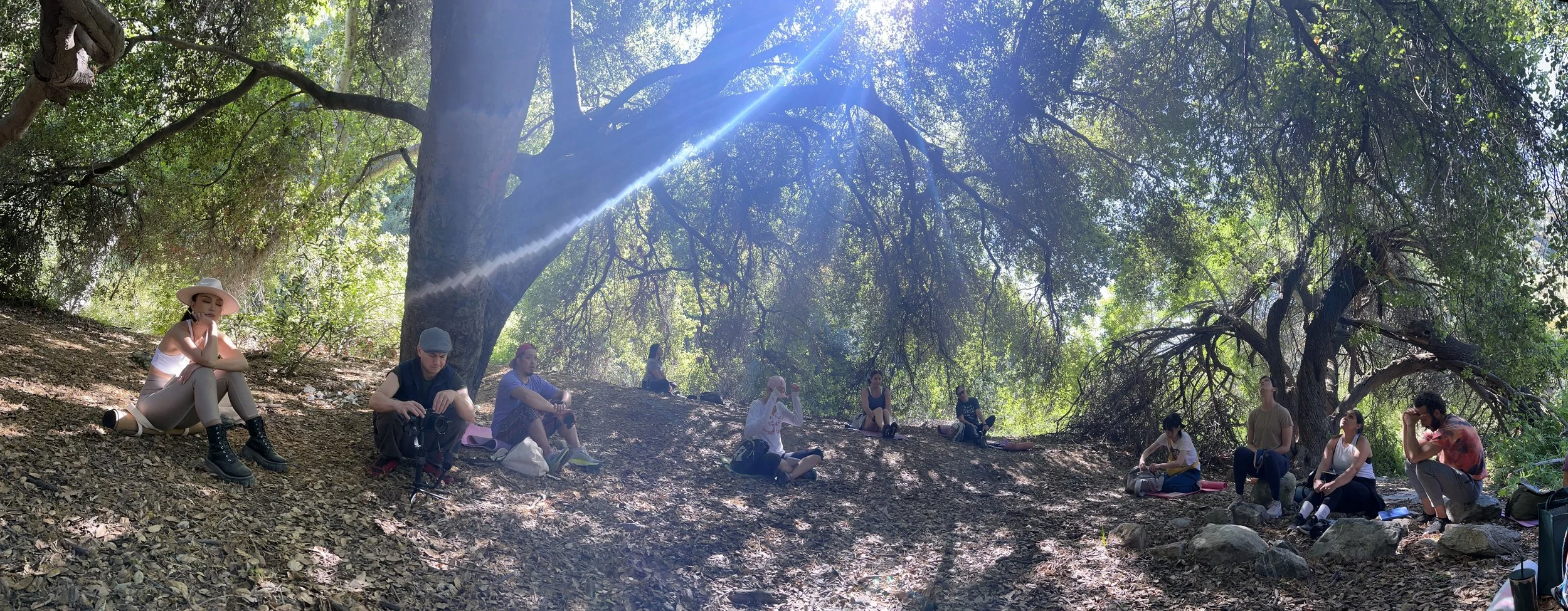 "In the Wild" Nature Retreat w/Teresa Espinosa in Glendale, CA