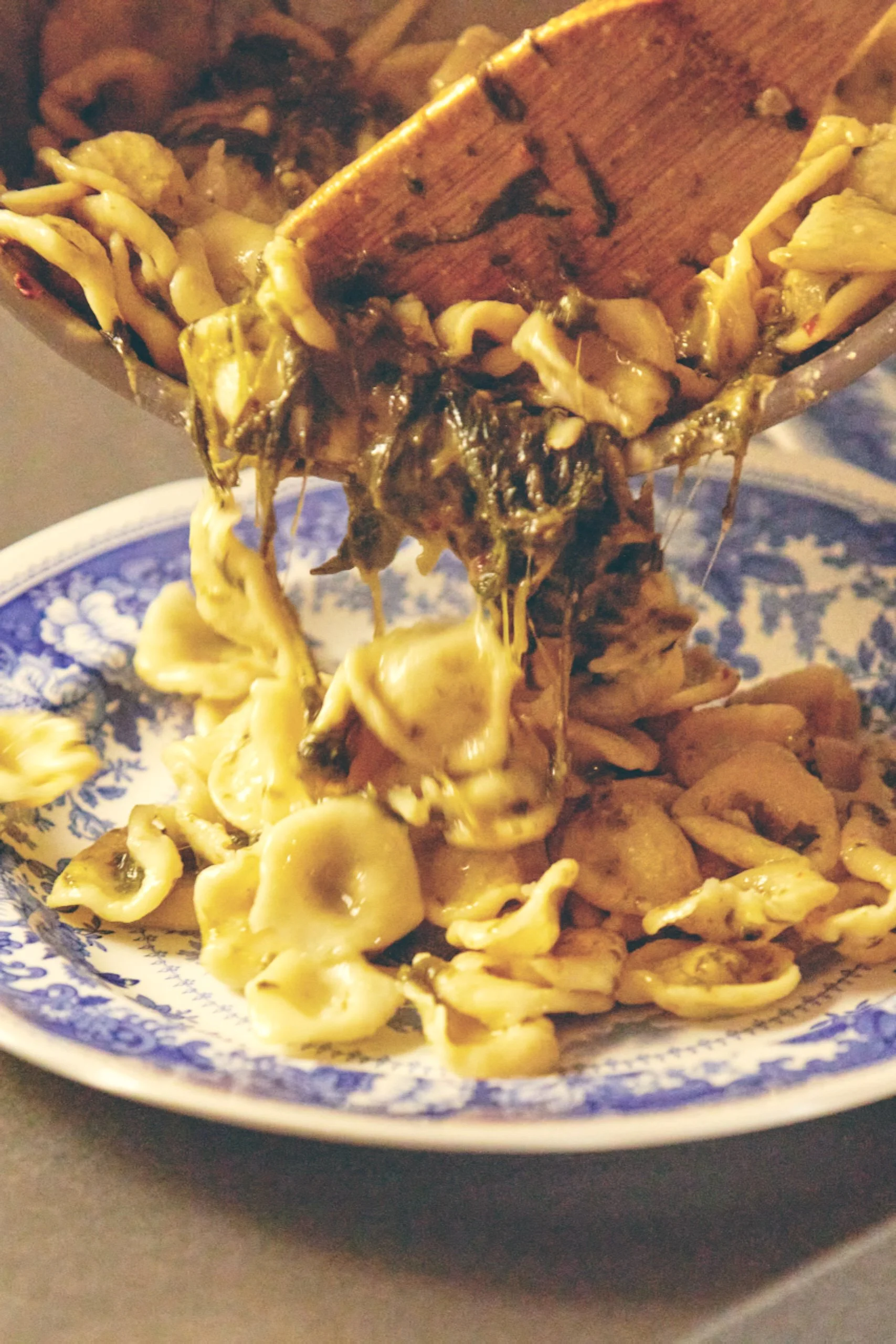 Orecchiette_805.jpg