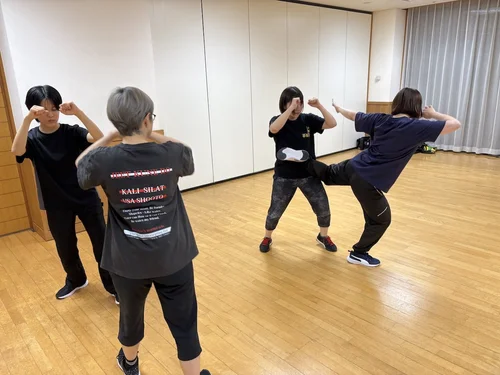 ジークンドー・カリシラット・USA修斗｜IUMA日本振藩國術館｜日本