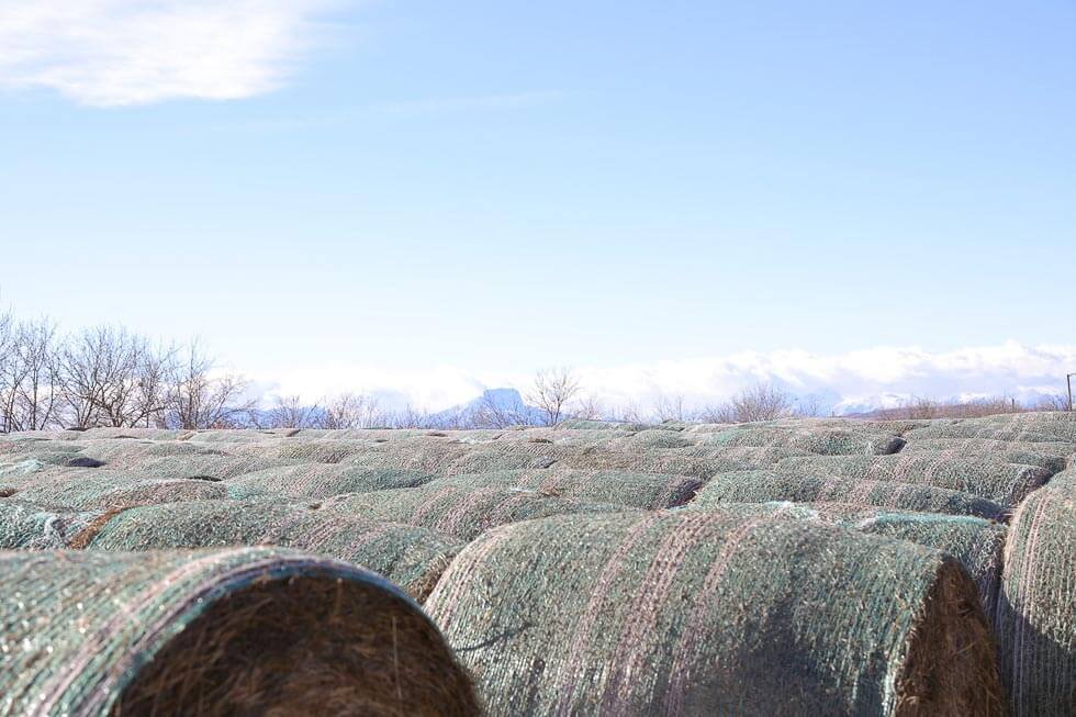 Boss Feeds Silage Wrap