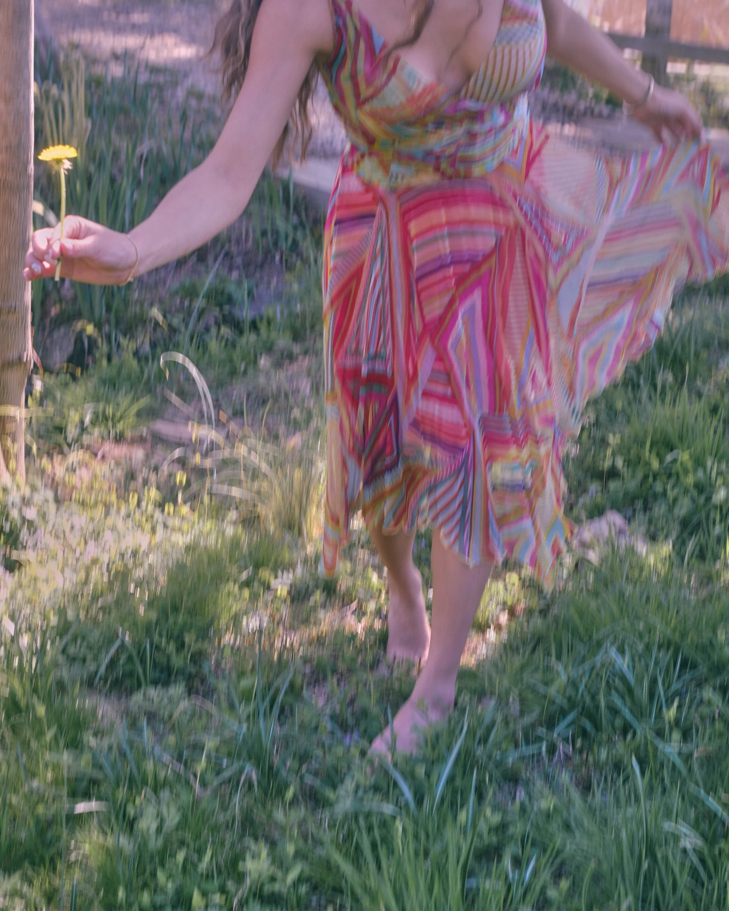 Sippy'sGarden_EllaHerman 246.jpg