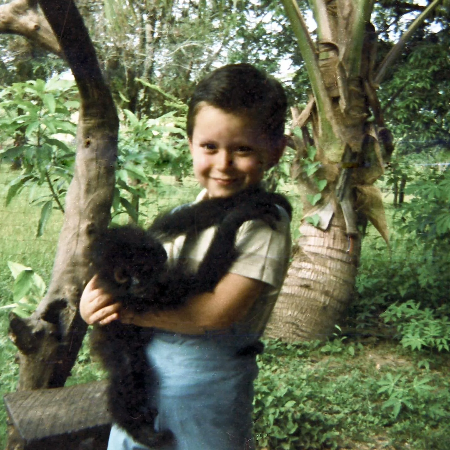 Toddler holding a spider monkey