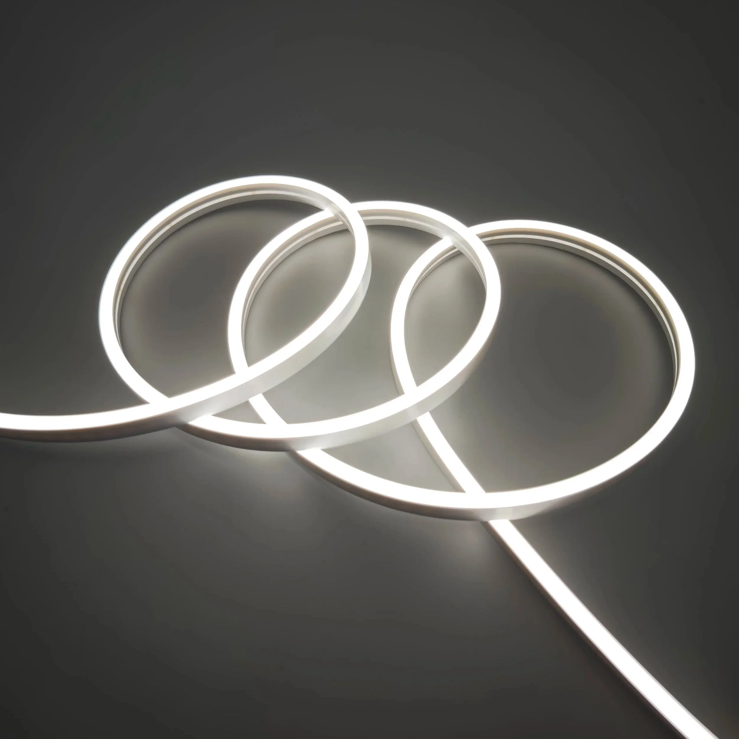Silicone Neon vs Traditional Neon: Which Should Your Project Choose?