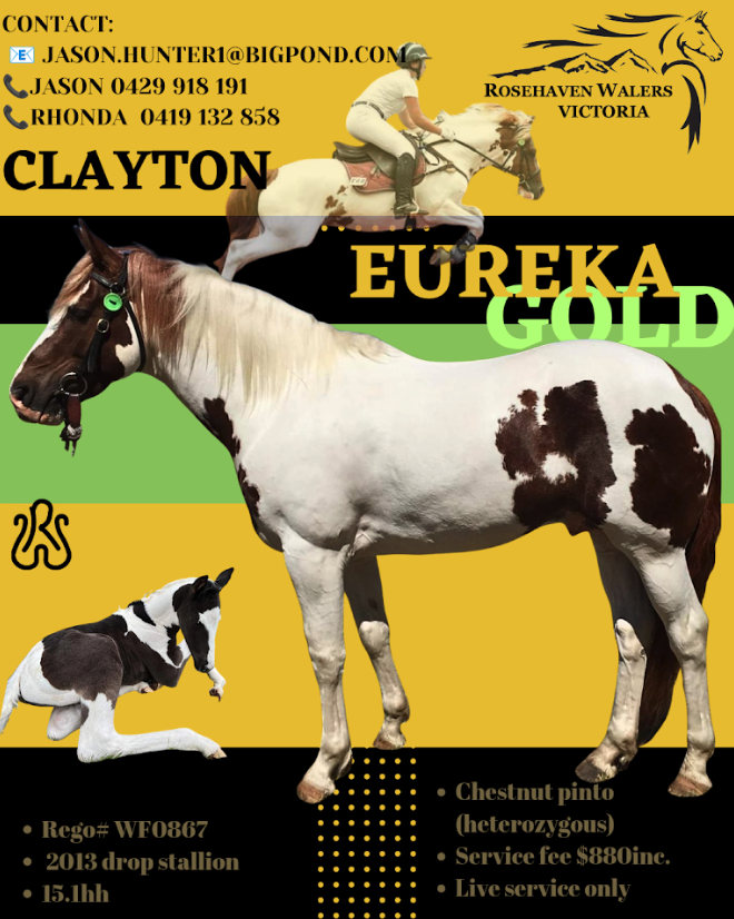 Clayton Eureka Gold
