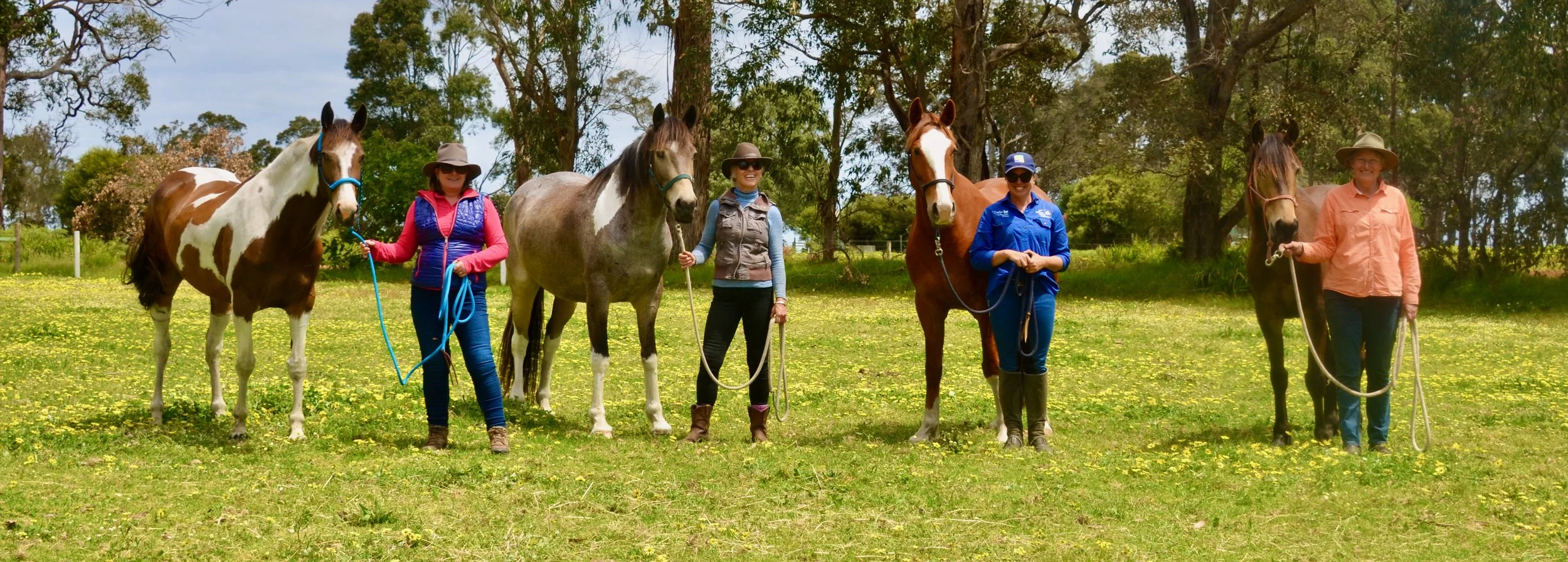 WA 2017 Classification Day.jpeg