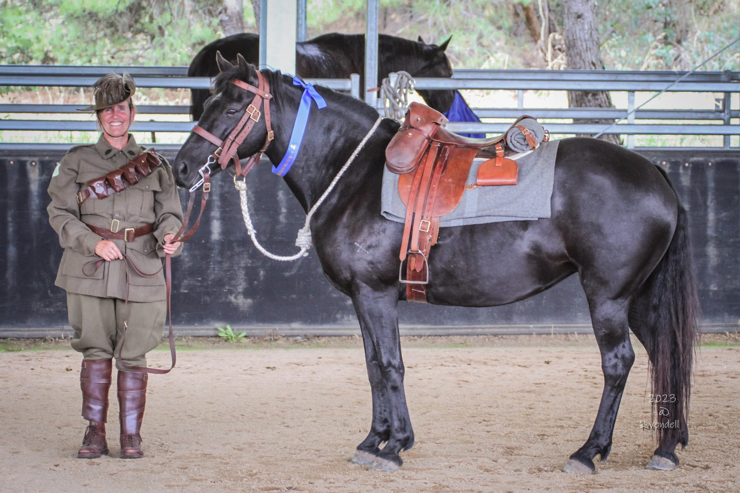 Tribute Midnight3.jpeg