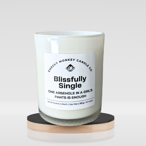 blissfully single - one arsehole in a girl's pants is enough