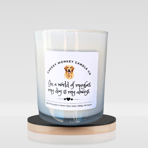 In a world full of maybes, my dog is my always