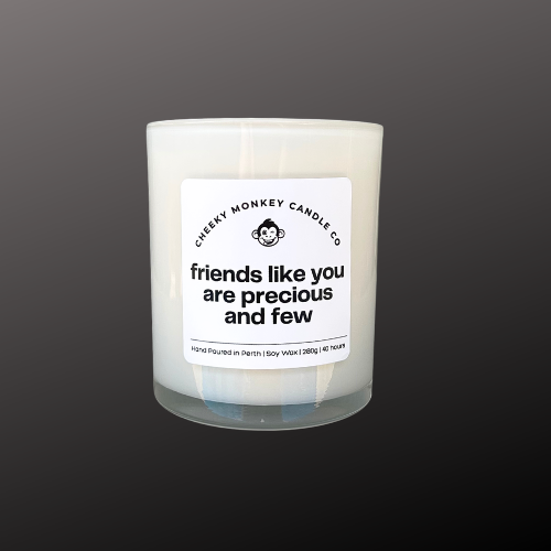 friends like you are precious and few