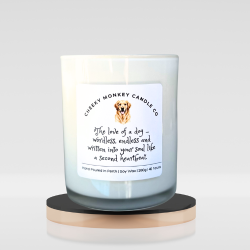 The love of a dog ...