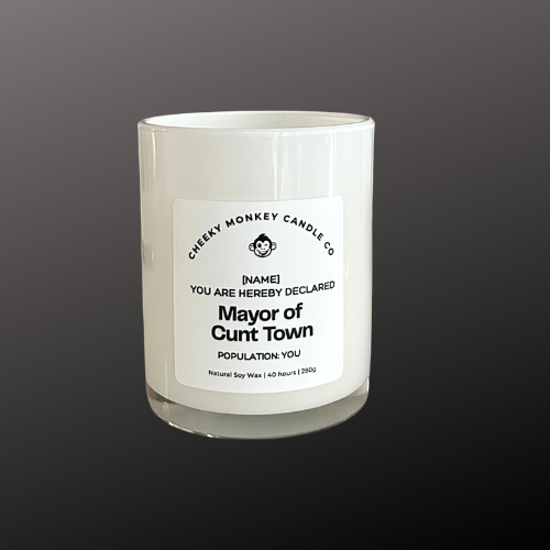 Mayor of Cunt Town - Population: You