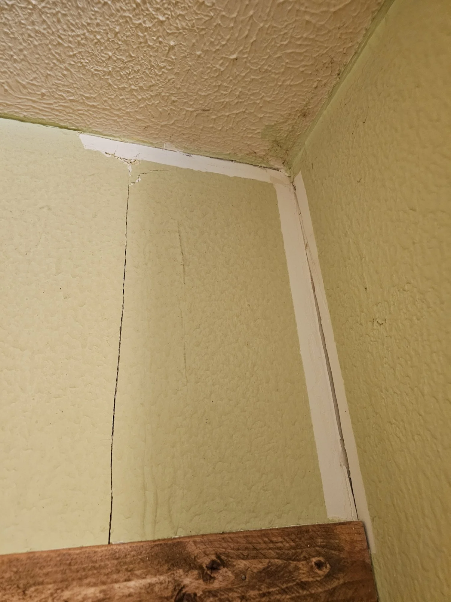 20250816_091044.jpg