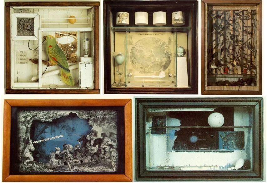 Collage of five display cases filled with eclectic objects and artwork, including a parrot figurine, a spherical object, a map, and various artifacts.