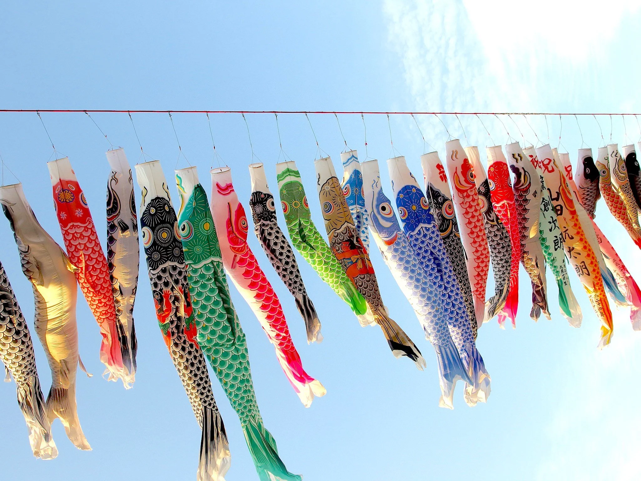 carp-streamers-Sagami-River-Kanagawa-Prefecture-.jpg