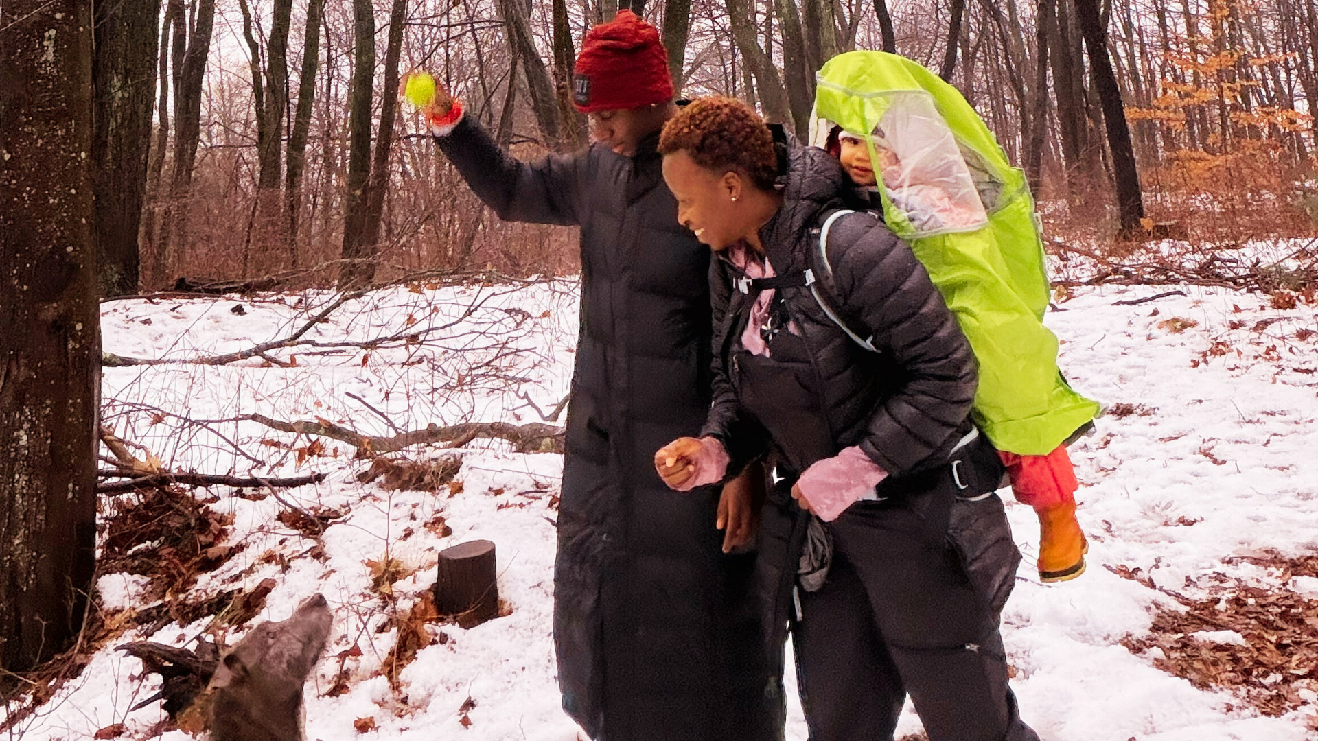 Walks of Joy in the Quiet Season