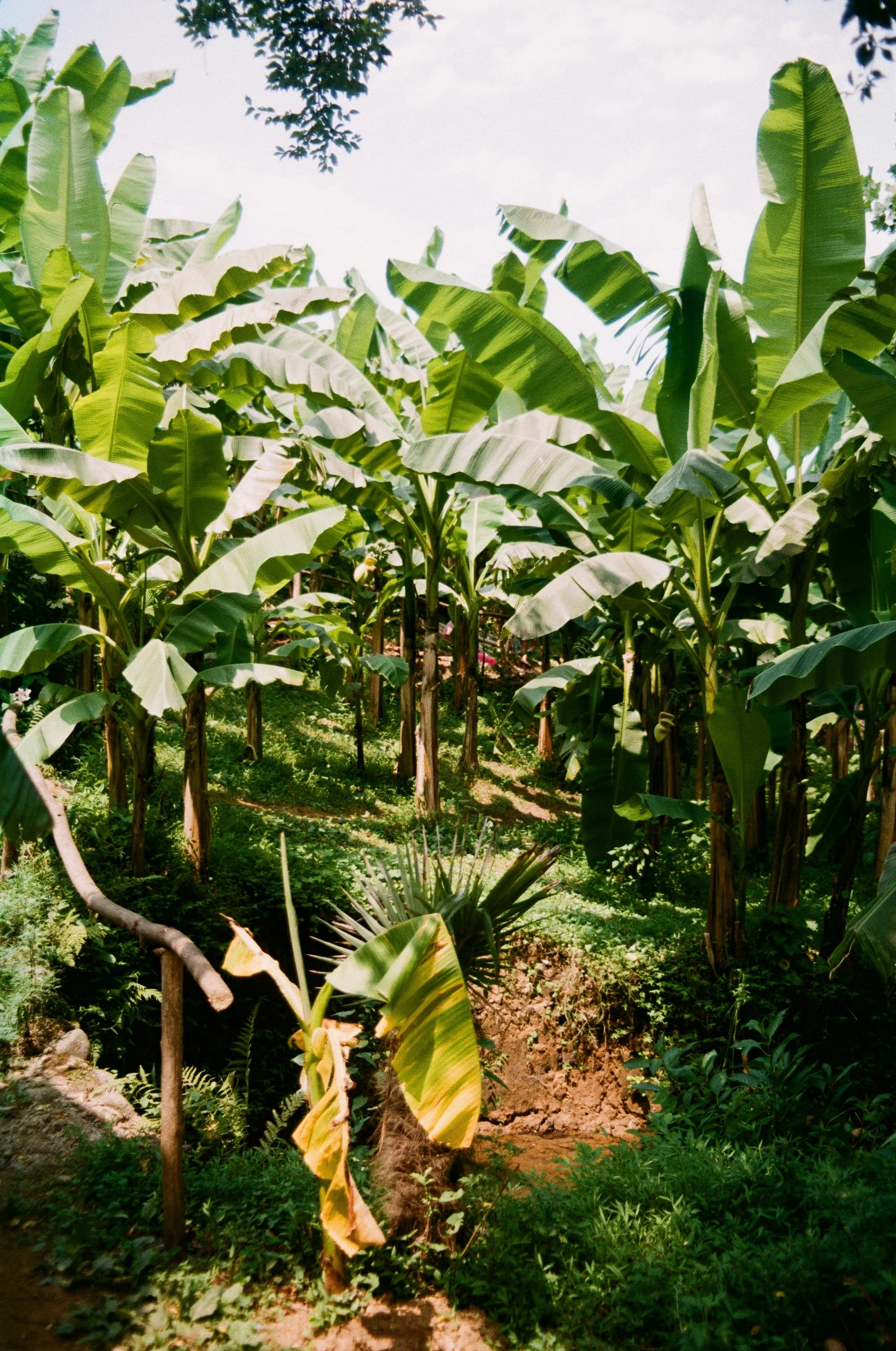 barbare-kacharava-m3XgYAbaeUg-unsplash.jpg
