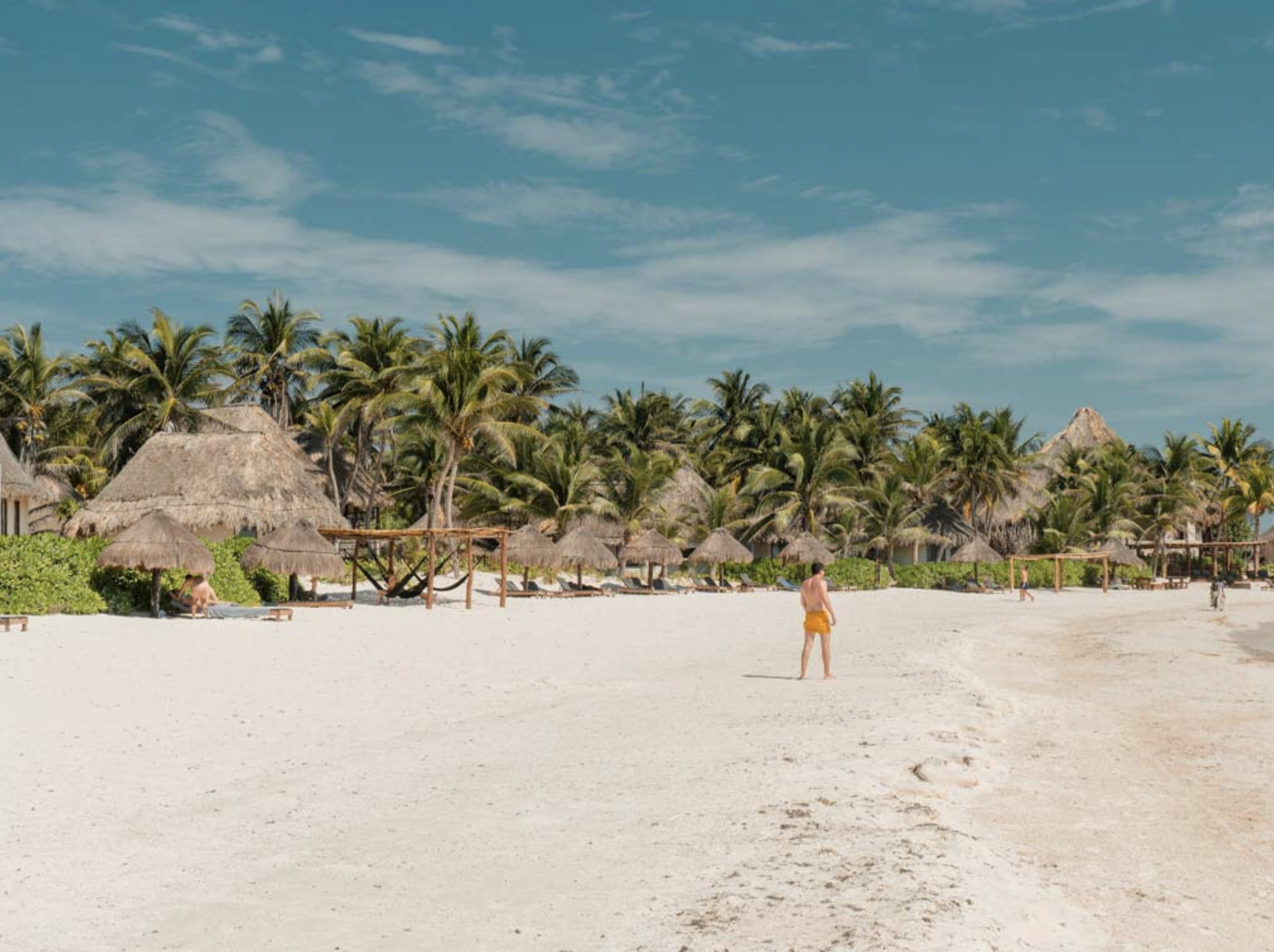 Screen Shot 2023-05-05 at 10.15.20 PM.png