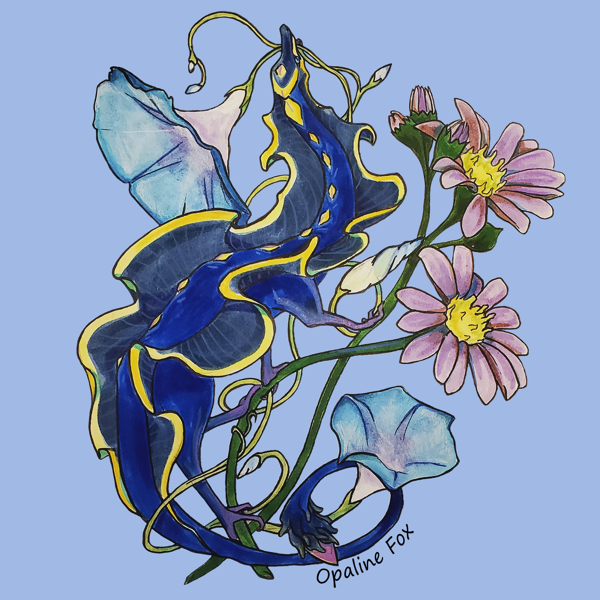 09 Morning Glorries and Aster Dragon.png