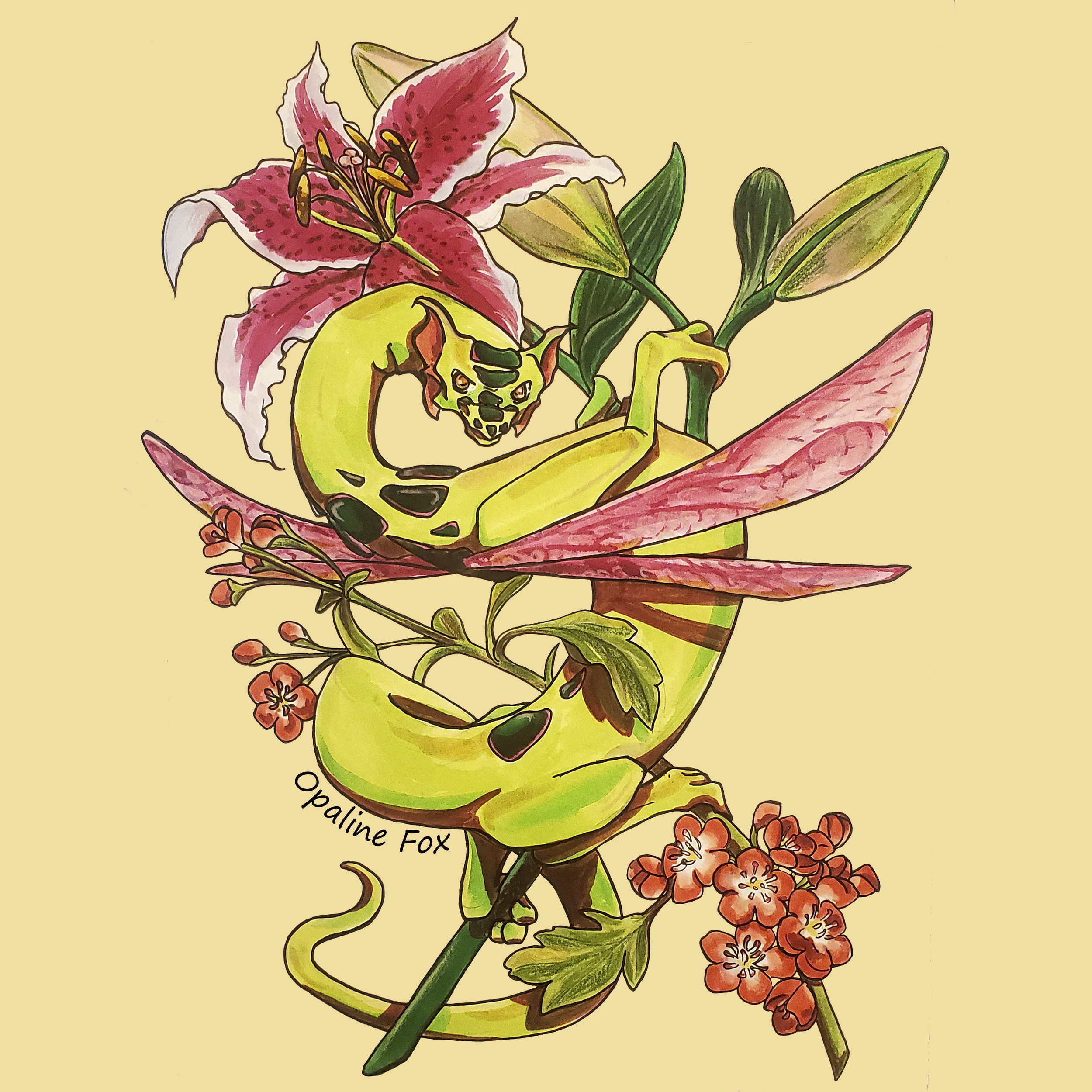 05 lily and hawthorn dragon.png