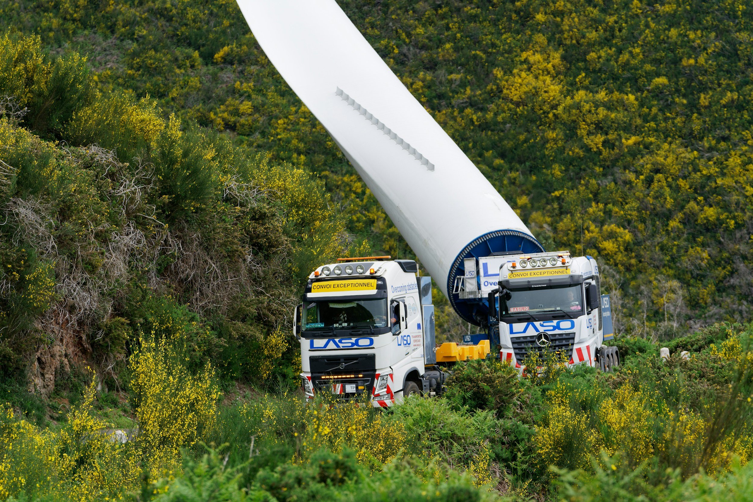 A large wind turbine blade being transported on two trucks through a green, hilly area with yellow flowers and bushes.